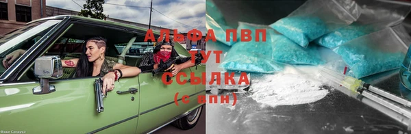 ешки Арсеньев