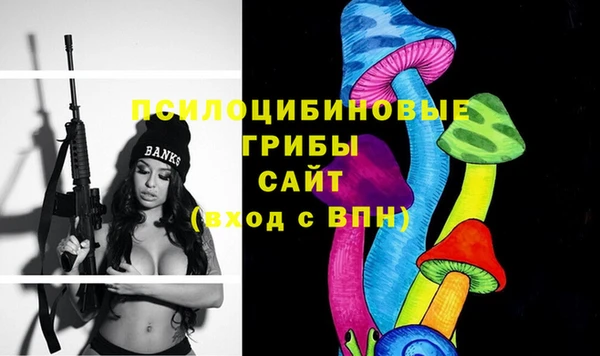 PSILOCYBIN Аркадак