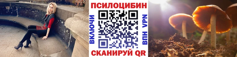 даркнет сайт  Тавда  Псилоцибиновые грибы Psilocybe 